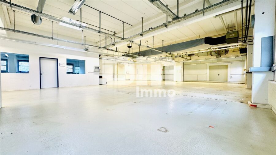 Vielseitiger Gewerbekomplex Halle + Büro / Freifläche - Top Infrastruktur direkt am A44 / A49 Kreuz - EG Haupthalle